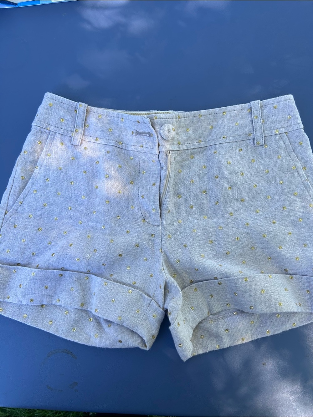 J. Crew Linen Shorts with Sparkle Embroidery
